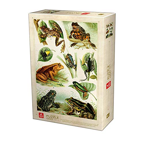 Deico Games Puzzle 5947502875703/EN 01 D-Toys Puzzle 1000 pcs Encyclopedia Frogs, Multicolor von D-Toys