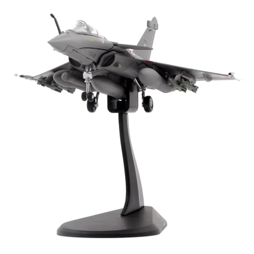 DAGIJIRD Simulation Alloy Aircraft Model 1:100 Alloy French Air Force Rafale C Libya War Fighter Plane Model von DAGIJIRD