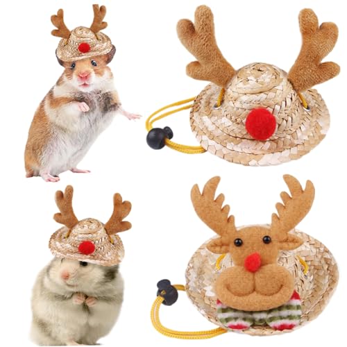 DAGLLGEW Hamster Hut 2pcs Hamster Stuff Antler Hirsch Weihnachtshamsterhüte Verstellbare Hamsterkleidung für echten Hamster mit Gurt Stroh Hamster Zeug für niedliche Look Fotos (groß) von DAGLLGEW