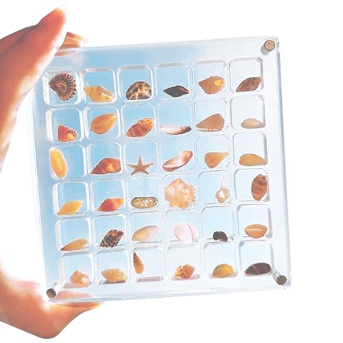 DAGLLGEW Muschel Display Box Acryl transparent 36 Gitter Display Hülle Magnetische Schließung Dekorative Perlen Organizer Box für Nagel, Schmuck, Kunsthandwerk von DAGLLGEW