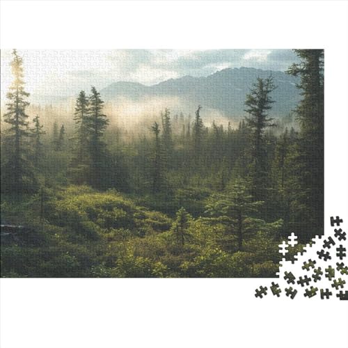 Coniferous Forest 1000 Teile Puzzle Premium Quality Puzzle Kinder Lernspiel Forest Familienspaß 100% Recycelten Kartons 1000pcs (75x50cm) von DAKINCHERRY