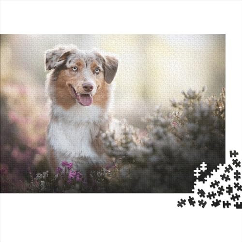 Puppies 300 Teile Puzzle Spielzeug Geschenk Kinder Lernspiel Cute Puppy Für Erwachsenen Ab 14 Jahren Impossible Puzzle 300pcs (40x28cm) von DAKINCHERRY