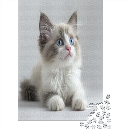 Süße blauäugige Katze Puzzlespiel 1000 Teile Puzzles Für Erwachsene Lernspiel Herausforderung Spielzeug 1000 Teile Puzzles Für Erwachsene Kinder Erwachsenen Puzzlespiel Puzzel 1000pcs (75x50cm) von DAKINCHERRY