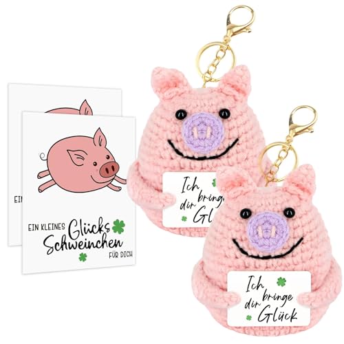 2 Stück Lustiges Positives Schwein, Positive Geschenke Glücksschweinchen mit Schlüsselanhänger, Pocket Hug Positive Kartoffel, Positive Glücksschwein, Gestrickte Schwein Puppe mit Energiekarte von DALAETUS