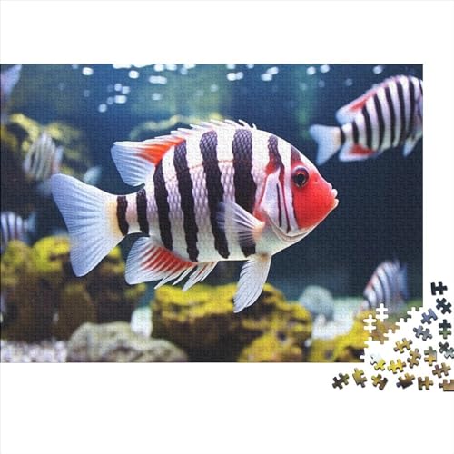 Chitransh9210_Oscar_Fish_Striped_White_and_red_in_Aquarium__UHD_2b637fbf-b7df-4c49-b6c7-007a1c32ef84 300 Teile Puzzle Erwachsene Puzzel Impossible Puzzle Für Die Ganze Familie Home Dekoration Puzzle von DALWI