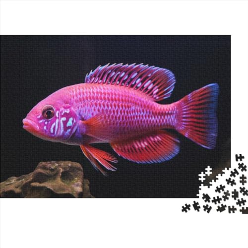 Tolyambos_Peacock_Cichlid._Pink_red_Peacock_Cichlid_Aulonocara__f1cf4de1-d04d-4218-899d-f070579eebc3 300 Teile Puzzle Erwachsene Puzzel Impossible Puzzle Herausforderndes Wohnkultur Einzigartiges Ge von DALWI