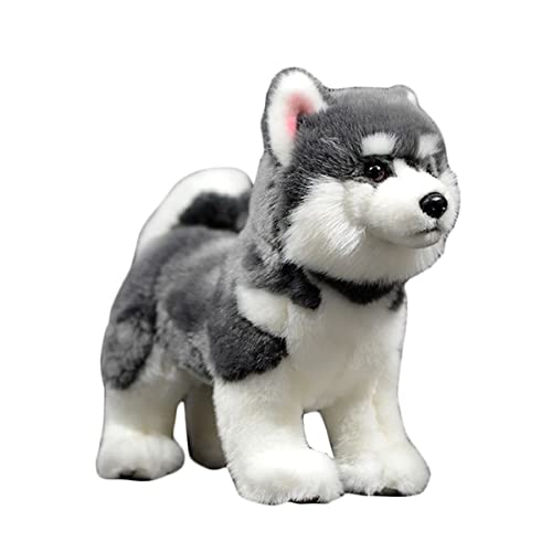 DANAIM Husky Stofftier, 10 Zoll Grauer Alaskan Hund Plüschtier Malamute Süßer Welpe Umarmungsspielzeug Geschenk for Kindergeburtstag von DANAIM