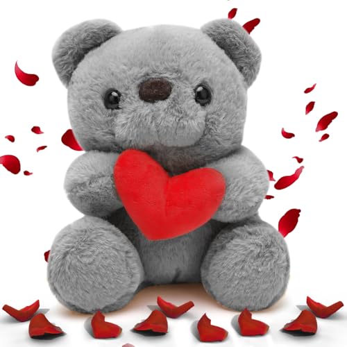 DASIAUTOEM Teddy Plüschbär mit Herz Rot - Teddybär Stofftier Teddy, Plüsch Bär, Teddy mit Liebe, Ich Liebe Dich, Teddybär Plüschteddy Kuscheltier Schmusetier Weihnachten Valentinstag (Grau) von DASIAUTOEM