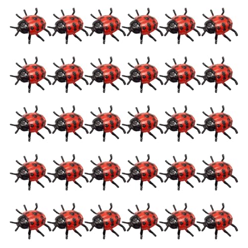 DAWCBVJQ Marienkäferspielzeug,Marienkäfer zum Basteln - Marienkäfer 30 Stück gefälschtes Marienkäferspielzeug - Realistisches, lebendiges Marienkäfer-Set aus PVC, Marienkäfer-Spielzeug für Mädchen, von DAWCBVJQ