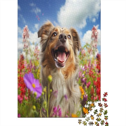 Australischer Schäferhund Puzzle 1000 Teile Für Erwachsene Und Kinder Ab 14 Jahren Für Stressabbauer Puzzel 1000pcs (75x50cm) von DCABEIOOE