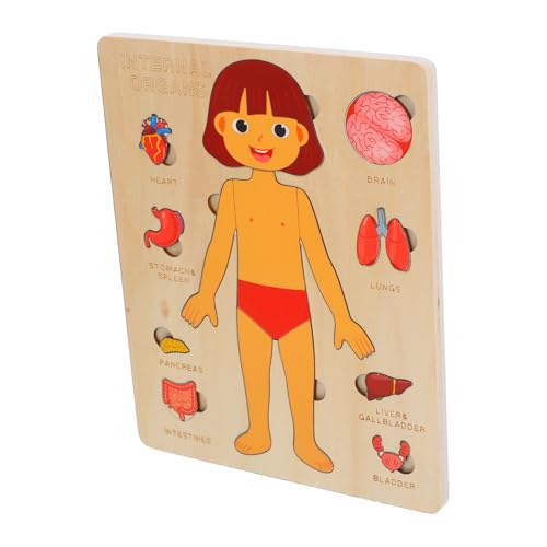 DECOMELODY 1 Set Puzzle Mit Menschlichen Körperteilen Für Kinder, Hölzernes Anatomie-passendes Puzzlebrett, Vorschulspielzeug, Kognitives Puzzle, Englisch (mädchen) von DECOMELODY