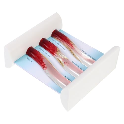 DECOMELODY Dynamisches Blutgefäßmodell aus Realistisches Anatomisches Modell mit Arterien und Venen Medizinisches Lehrmodell für Studenten Ärzte und Ausbildung DECOMELODY Dynamisches Blutgefäßmodell aus Realistisches Anatomisches Modell mit Arterien und Venen Medizinisches Lehrmodell für Studenten Ärzte und Ausbildung von DECOMELODY