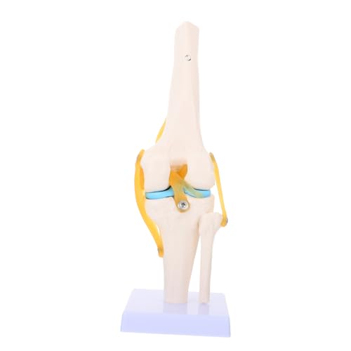 DECOMELODY Simulation mit Realistischer Beweglichkeit für Medizinische Ausbildung und Lehrzwecke DECOMELODY Simulation mit Realistischer Beweglichkeit für Medizinische Ausbildung und Lehrzwecke von DECOMELODY