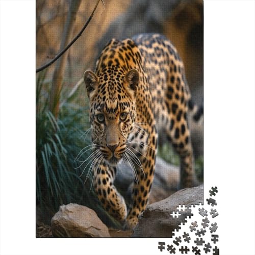 Leopard Puzzlespiel 1000 Teile Jigsaw Puzzle 1000 Puzzle FüR Erwachsene Kinder Senioren Erwachsenen Puzzlespiel Puzzel 1000pcs (75x50cm) von DFURNIOPE