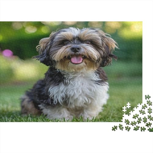 Shih Tzu. 1000 Stück Puzzles Für Erwachsene Teenager Stress Abbauen Familien-Puzzlespiel 1000-teiliges Puzzle Kinder Lernspiel Spielzeug Geschenk Puzzel 1000pcs (75x50cm) von DFURNIOPE