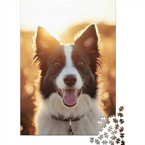 Border Collie 1000 Teile, Impossible Puzzle,Geschicklichkeitsspiel Für Die Ganze Familie, Erwachsenenpuzzle Puzzel 1000pcs (75x50cm) von DHBANEIOK