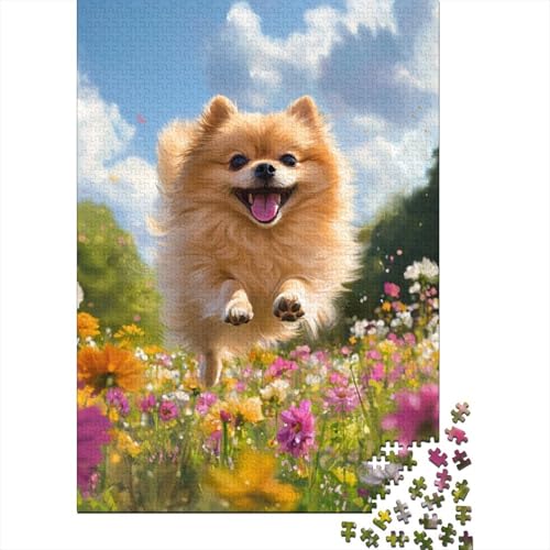 Pommersch 1000 Stück Puzzles Für Erwachsene Stress Abbauen Familien-Puzzlespiel Mit Poster in 1000- Puzzle Lernspiel Spielzeug Geschenk Puzzel 1000pcs (75x50cm) von DHBANEIOK