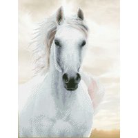 DIAMOND DOTZ® DD10.026 Original Diamond Painting Imperial Stallion 48 x 65 cm von DIAMOND DOTZ®