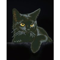 DIAMOND DOTZ® DD5.001 Original Diamond Painting Katze Midnight Cat“ 28 x 35,5 cm von DIAMOND DOTZ®