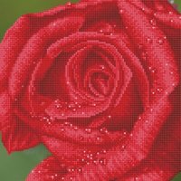 DIAMOND DOTZ® DD5.039 Original Diamond Painting Rose Dew“ 30,5 x 30,5 cm von DIAMOND DOTZ®