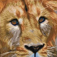 DIAMOND DOTZ® DD5.076 Original Diamond Painting Serengeti Magic“ 30 x 30 cm von DIAMOND DOTZ®