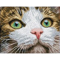 DIAMOND DOTZ® DD6.029 Original Diamond Painting Katze Green Eyed Beauty“ 35 x 27 cm von DIAMOND DOTZ®