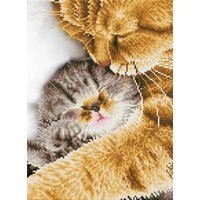 DIAMOND DOTZ® DD7.037 Original Diamond Painting Katze Tender Moment“ 30 x 41 cm von DIAMOND DOTZ®