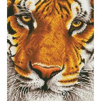 DIAMOND DOTZ® DD8.001 Original Diamond Painting Bengal Magic“ 36 x 42 cm von DIAMOND DOTZ®