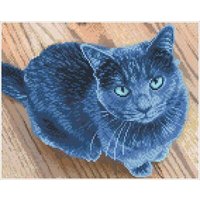 DIAMOND DOTZ® DQ8.002 Squares Original Diamond Painting Katze Velvet“ 38 x 30 cm von DIAMOND DOTZ®