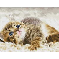 DIAMOND DOTZ® DQ8.006 Squares Original Diamond Painting Katze Baby Pie“ 41 x 31 cm von DIAMOND DOTZ®