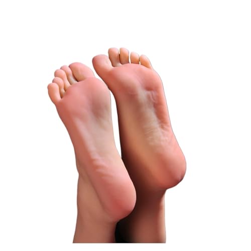 Silikon-Fußmodell, Mannequin Fuß Simulation Weibliche Silikon Füße Mo fälschte Nal Display Quaste Knochen Knöchel Dummy Menschlichen Medizinische Massa 3604, Silikonfüße(Skin All Silicone,Right foot) von DIGNIFE