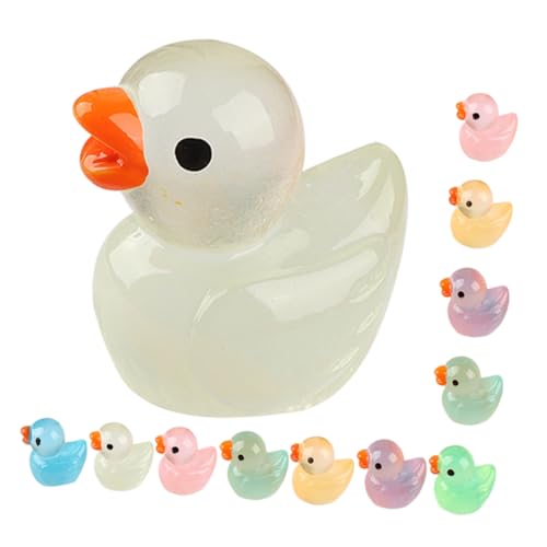 DIKACA 12St Mini-Ente Frösche Kaninchen Puppe Aquariumdekor Tiere Figuren wohnungsdeko miniaturfiguren Niedliche Entenfiguren winzige Miniaturenten Minifiguren dekorieren Harz von DIKACA