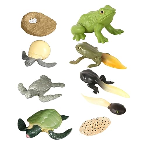 DIKACA 2 Sätze Verschiedene Stadien Der Tierischen Evolution Schildkröte Tierfigur Bonsai Frosch Schildkröten-wachstumsdiagramm Schildkröte Spielfigur Fest Statuette Harz Kind von DIKACA