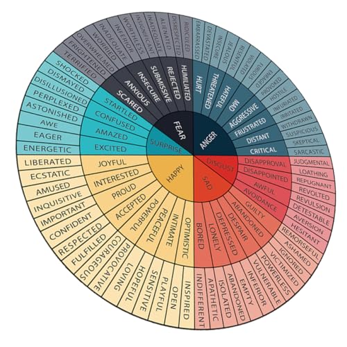 DIKACA Emotion-Rad-Aufkleber Emotionsaufkleber Gefühle Poster Tapeten Motivierend Emotionsraddiagramm Magnet-gefühlsdiagramm Gefühlsradaufkleber Aufkleber „Rad Der Gefühle“. PVC von DIKACA