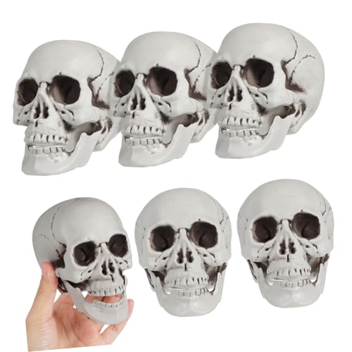 DIKACA Halloween Künstliche Schädel Deko Für Gruselige Partys Realistische Schädel Ornament Für Spukhaus Dekoration Halloween Schädel Requisiten Party Zubehör von DIKACA