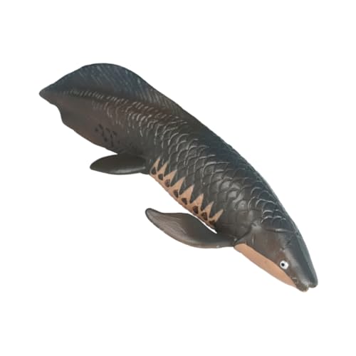 DIKACA Simulierter Arapaima Spielzeuge Miniaturfisch Ornament Simulation Fischverzierung Ozeanmodell Spielzeug Minifiguren Simulation Von Fischmodellen Fest Gefälschtes Tier Kind Plastik von DIKACA