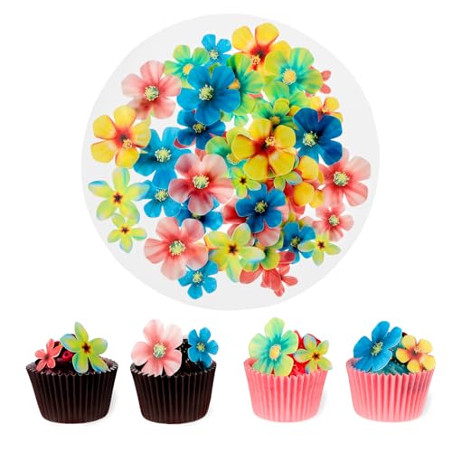 70 Stück Essbare Blumen Cupcake Topper Oblatenpapier Essbare Blumen Tortendeko Topper für Frauen und Mädchen Geburtstagsparty Essensdekoration von DIVINA VITAE