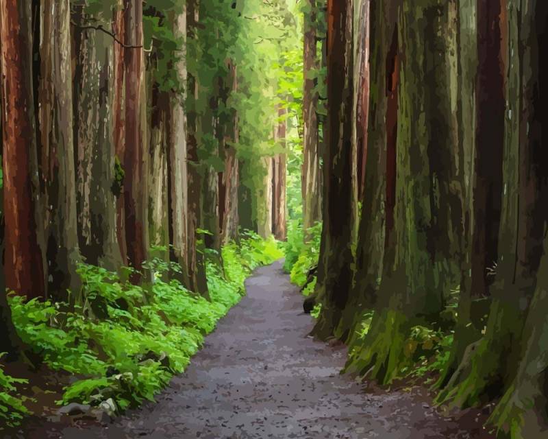 Malen nach Zahlen - Togakushi Schrein in Japan, mit Rahmen von DIY - Malen nach Zahlen