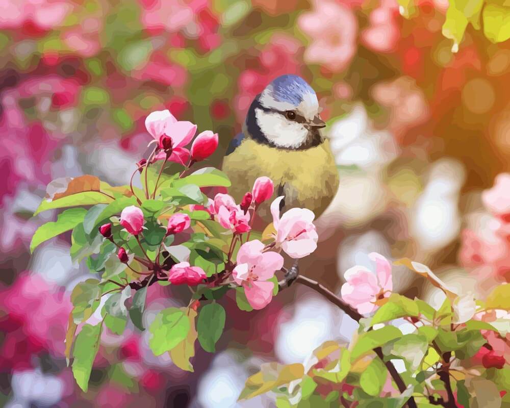 Malen nach Zahlen - Vogel im Frühling, ohne Rahmen von DIY - Malen nach Zahlen