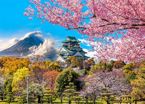 Osaka Castle Puzzle 1000 Teile Erwachsene Fuji Cherry Blossom Japan Erwachsene 1000 Teile Puzzle von DKijoys