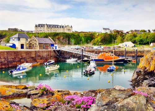 Portpatrick Harbour Puzzle 1000 Teile Erwachsene Colourful Boats Puzzle Erwachsene 1000 Teile Puzzle von DKijoys