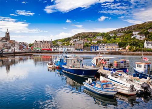 Tarbert Harbour Puzzle 1000 Teile Erwachsene Tarbet Fishing Town Puzzle Erwachsene 1000 Teile Puzzles von DKijoys