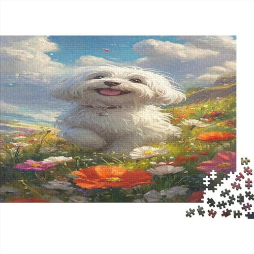 Bichon Frise Puzzle 1000 Teile Erwachsener Kniffel Spaß Für Die Ganze Familie - Abwechslungsreiche 1000 Puzzleteilige Motive Puzzle Erwachsene, Puzzel 1000pcs (75x50cm) von DLONIRPEX