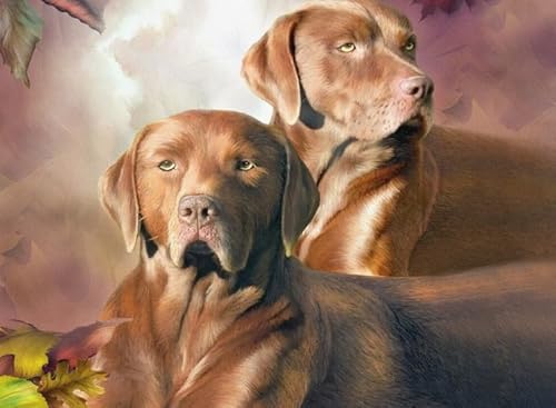 DMQBT Puzzle 1000 Teile Labradors Dogs Posters Colorful Ability Game Für Die Ganze Familie Erwachsener Wp399Yw von DMQBT