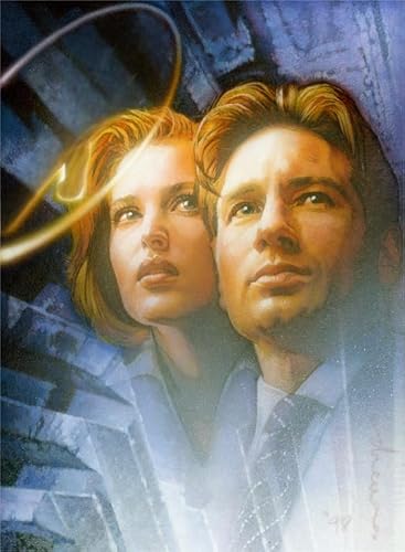 DMQBT Puzzles 1000 Teilen D.Duchovny X Film Poster Puzzles Lernspielzeug Für Erwachsene Und Familien Jz33Tw von DMQBT