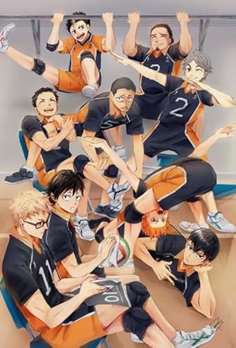 DMQBT Puzzles 1000 Teilen Japanese Animes Haikyuu!! Poster for Adults Educational Toys Puzzles Jz56Tw von DMQBT