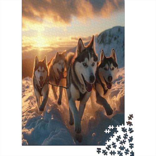 Alaskan Malamute Dog Puzzle 1000 Teile Für Erwachsene Und Kinder Ab 14 Jahrenfür Stressabbauer Puzzlespiel Erwachsenen Puzzlespiel Puzzel 1000pcs (75x50cm) von DNAVSOETR