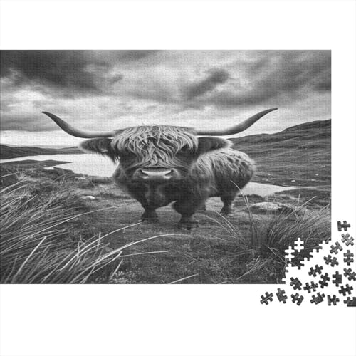 Highland Kattle Puzzlespiel 1000 Teile Jigsaw Puzzle 1000 Puzzle FüR Erwachsene Kinder Senioren Erwachsenen Puzzlespiel Puzzel 1000pcs (75x50cm) von DNAVSOETR