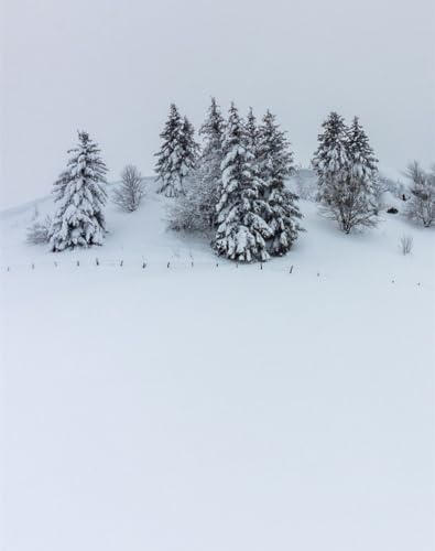 1000 Puzzle Home Dekoration Puzzle - Hügel, Schnee, Bäume 75 x 50cm von DOEMIF