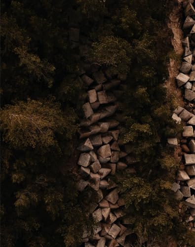 1000 Teile Puzzle Wälder, Bäume, Steine 75 x 50cm von DOEMIF